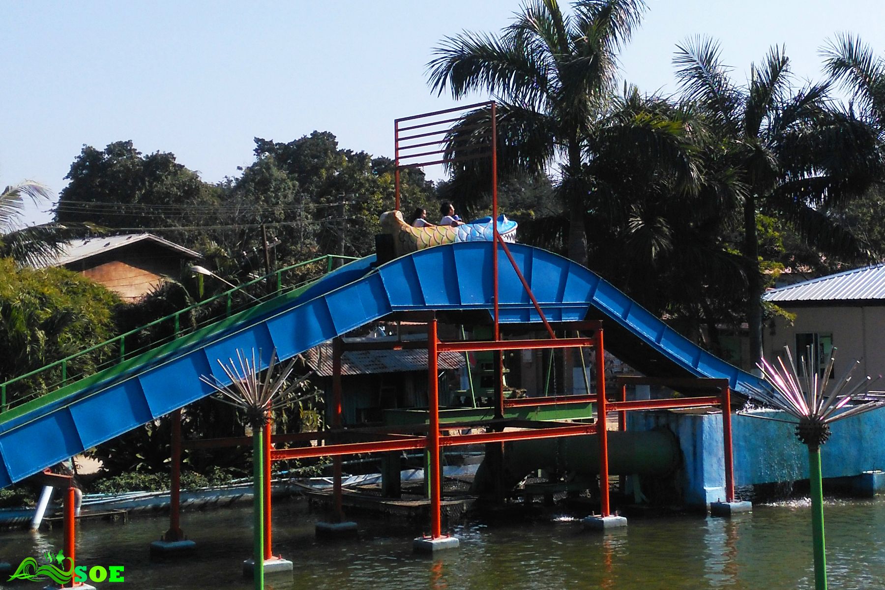 010.jpg
