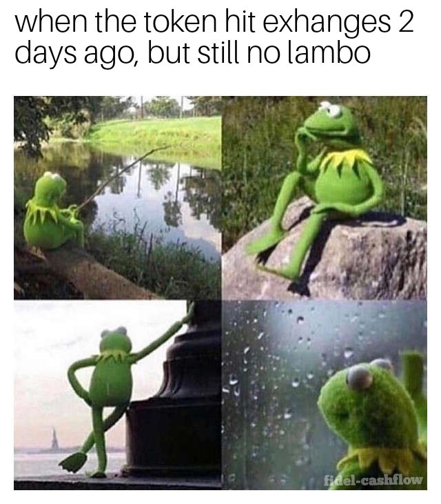 Waiting kermit 22022018180307_wm.jpg