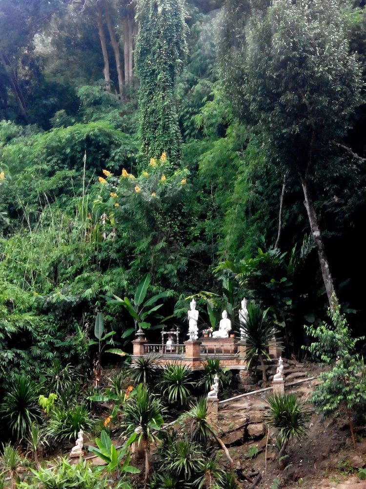 Wat Pha Lat Chiang Mai Thailand 13.jpg