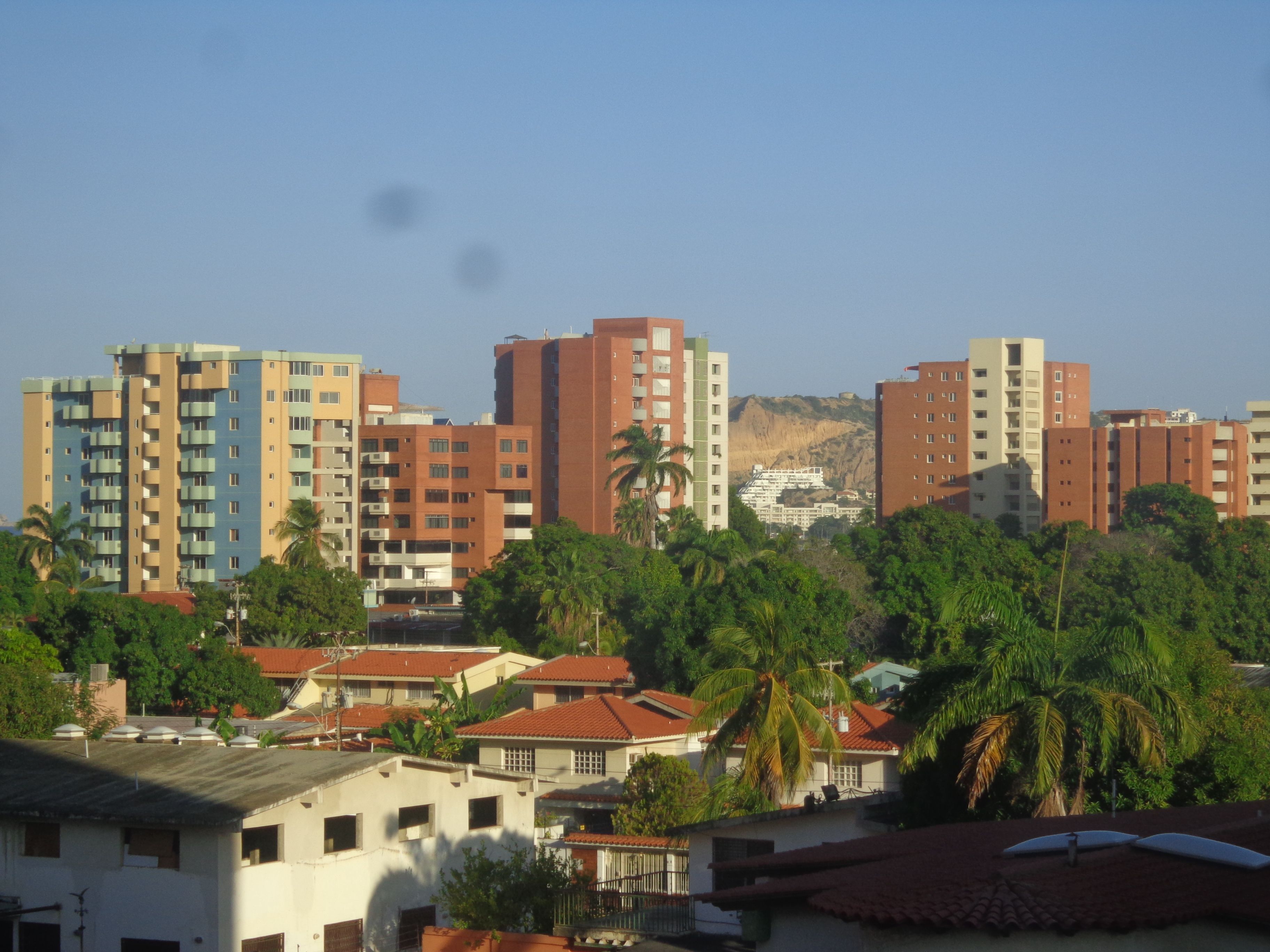 DSC02538.JPG