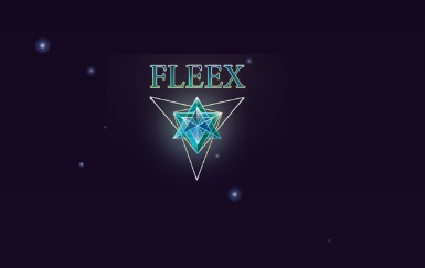 fleex.jpg