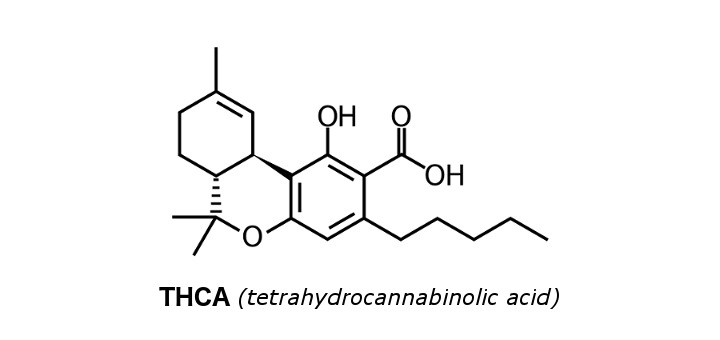 top-10-cannabinoids-and-what-they-do-thca.jpg