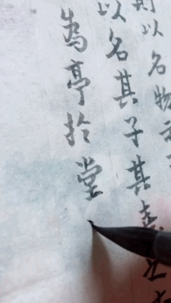 F567F231-515F-44EB-ACB9-9B9136383F08.gif