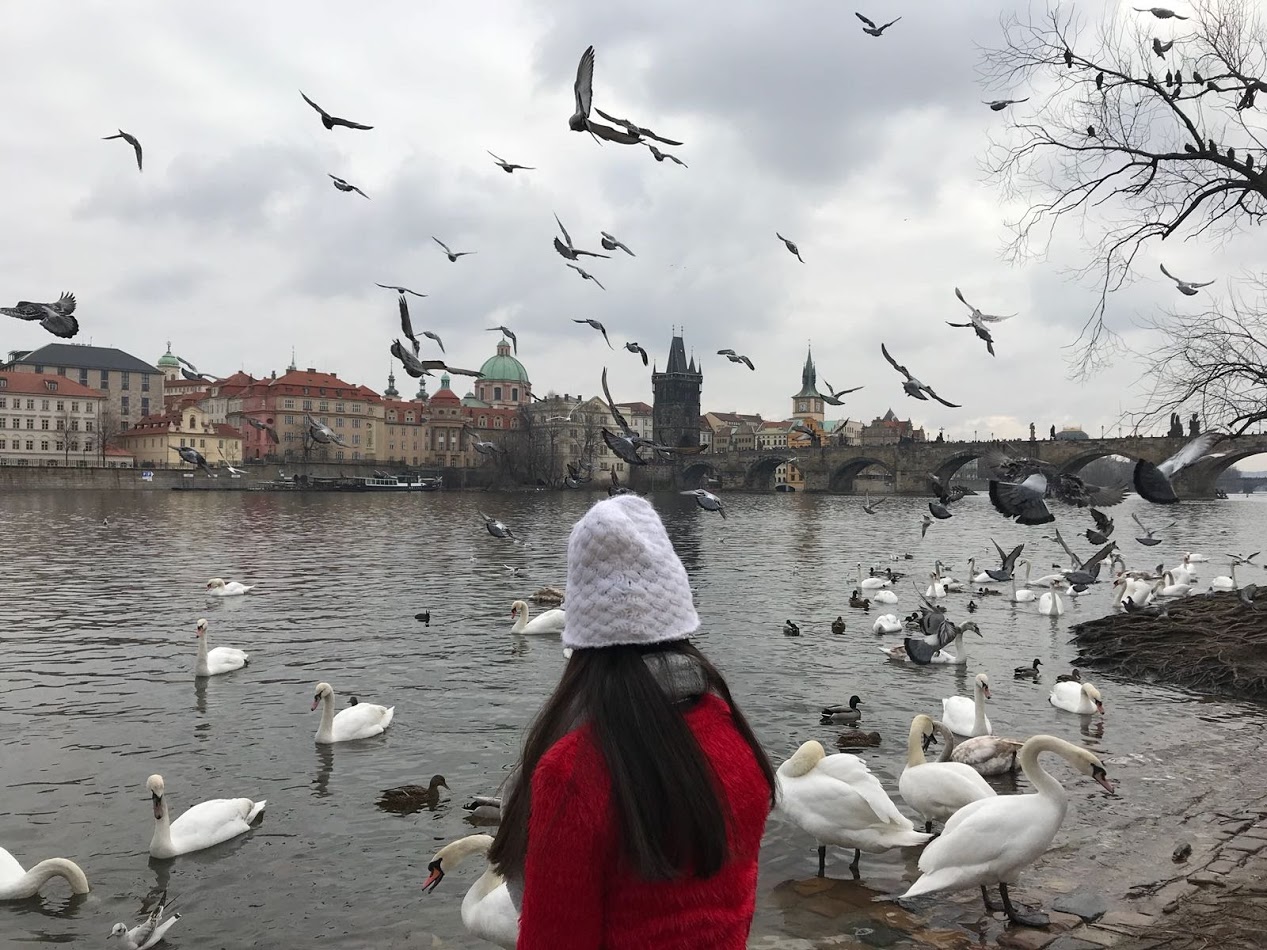 IMG-20180218-WA0087.jpg