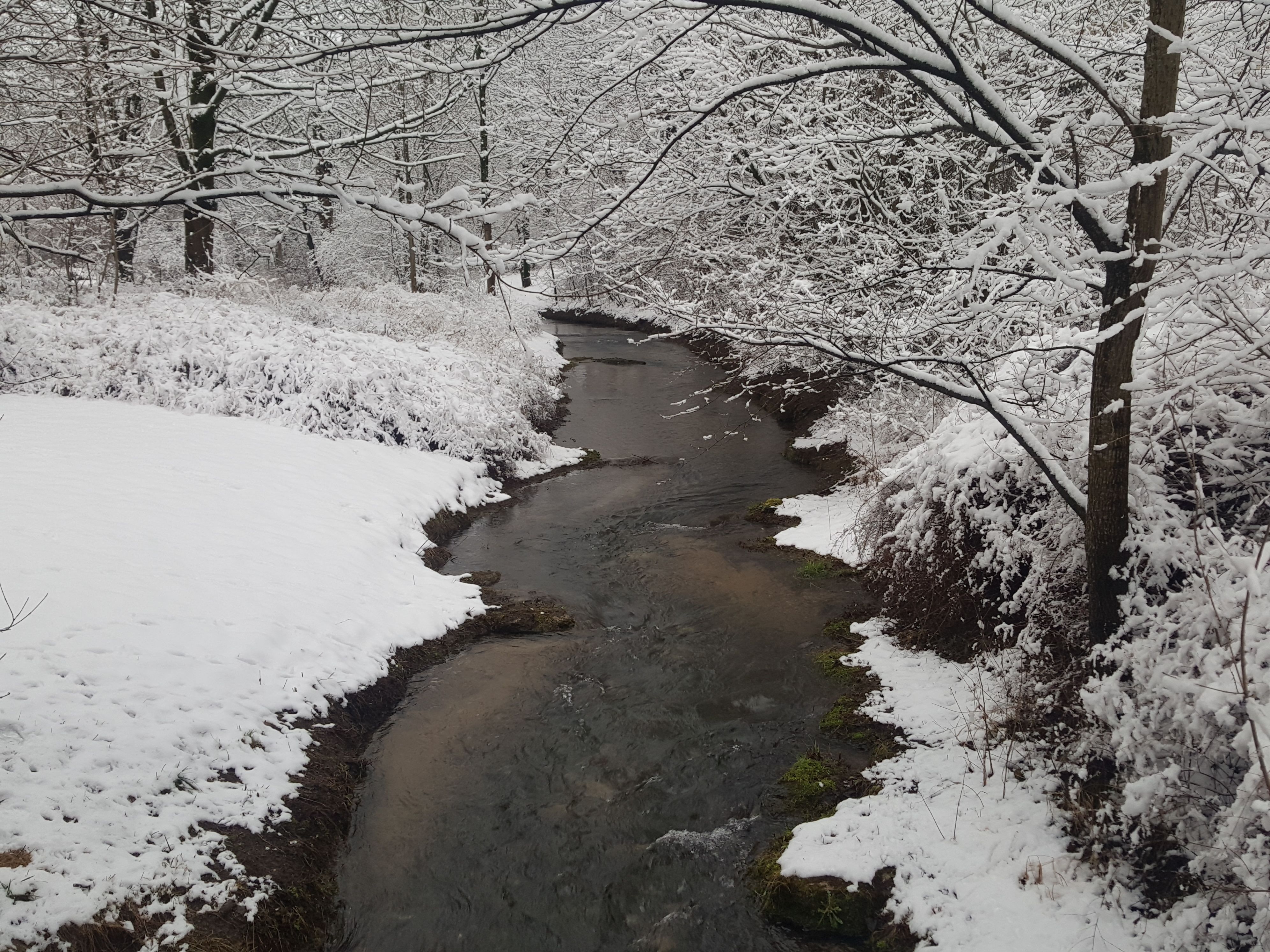 20180218_163558.jpg