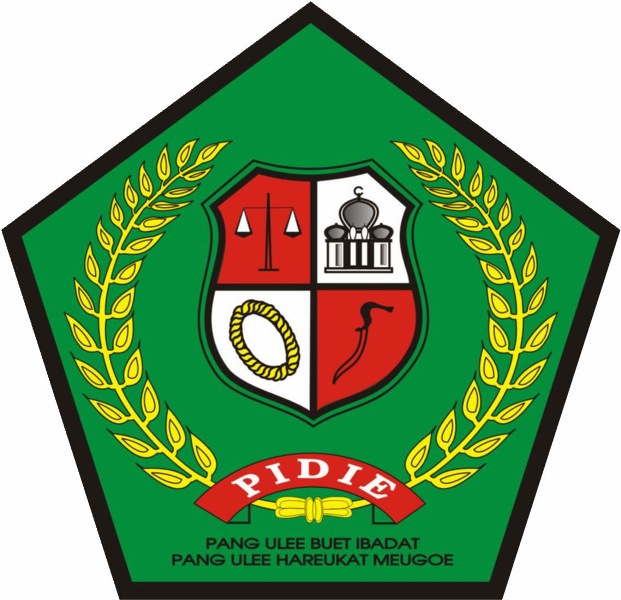 logo-kab pidie.jpg