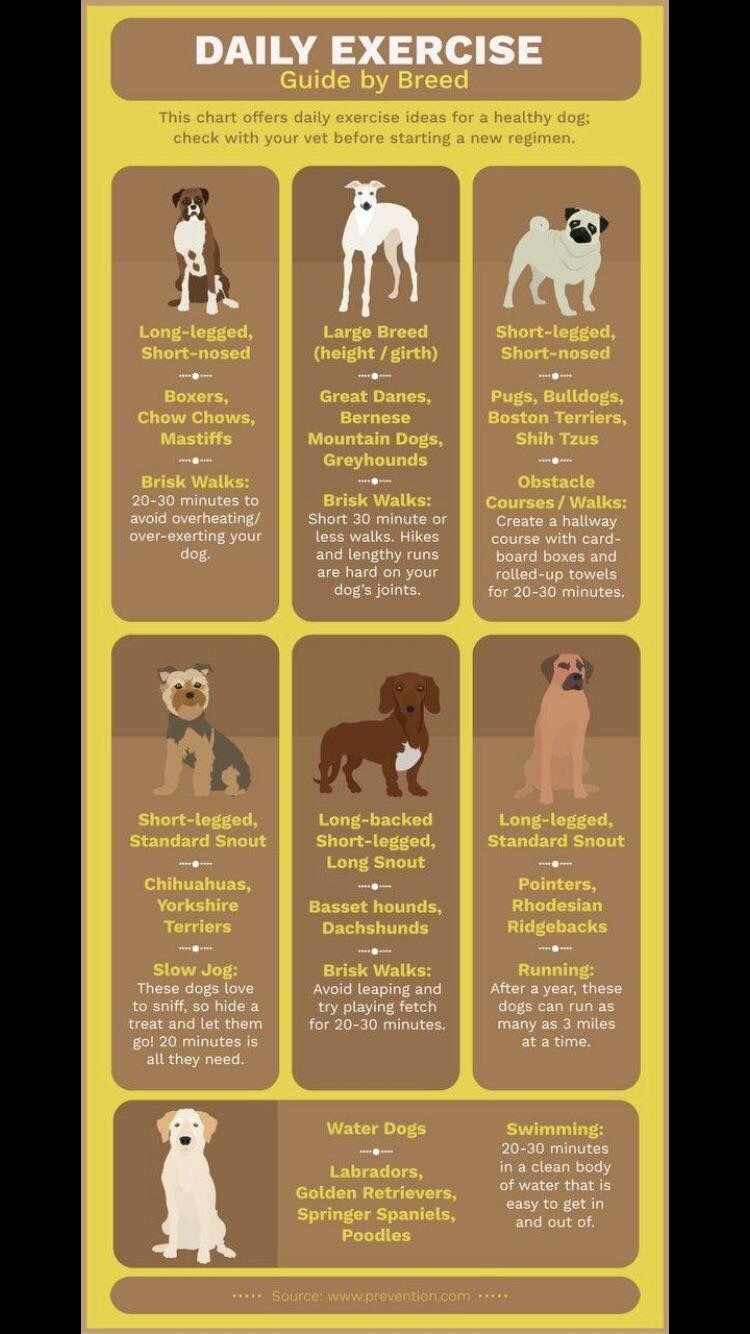 Dog Breed Exercise Chart