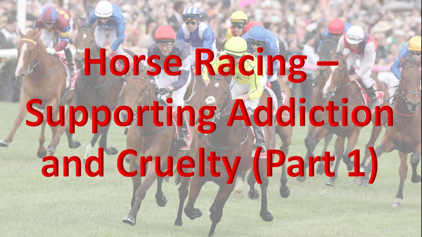 Horse_Racing_Thumb.jpg