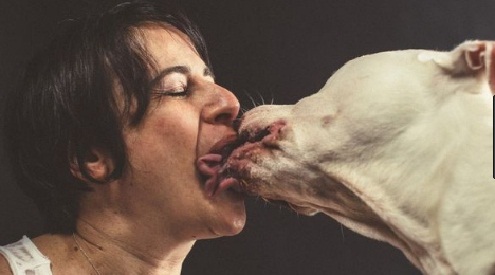dog kiss never seen before funny pictures.jpg