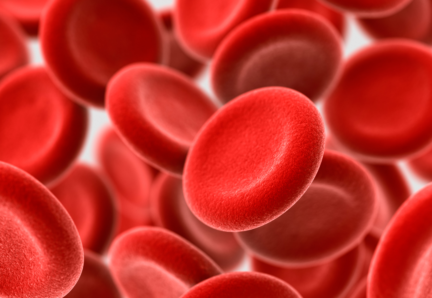 The Superior Red Blood Cell — Steemit