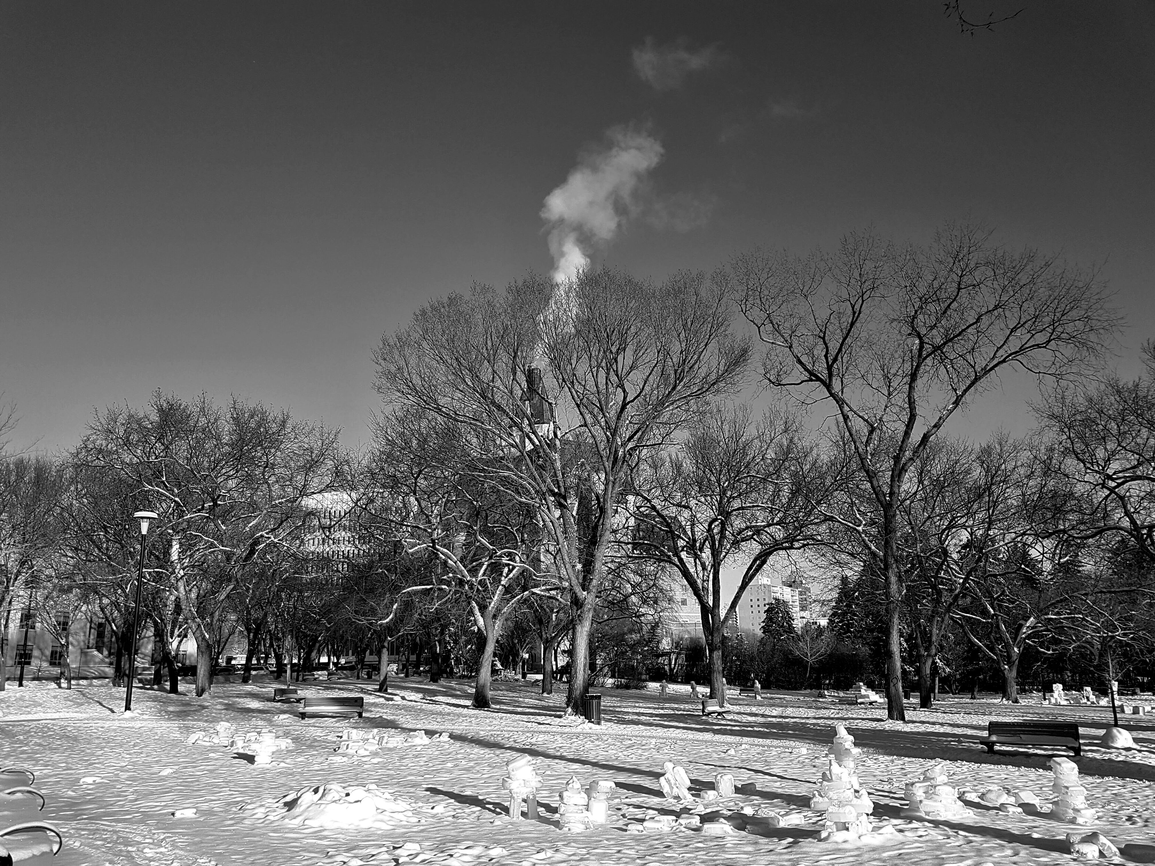 1CDB9ABF-34EF-462B-9320-241D0B07342C.jpeg