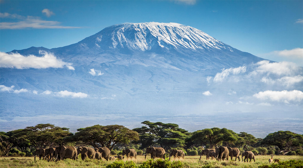 mount-kilimanjaro.jpg