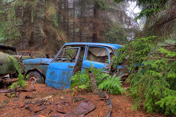 chatillon-car-graveyard-abandoned-cars-cemetery-belgium-5.jpg