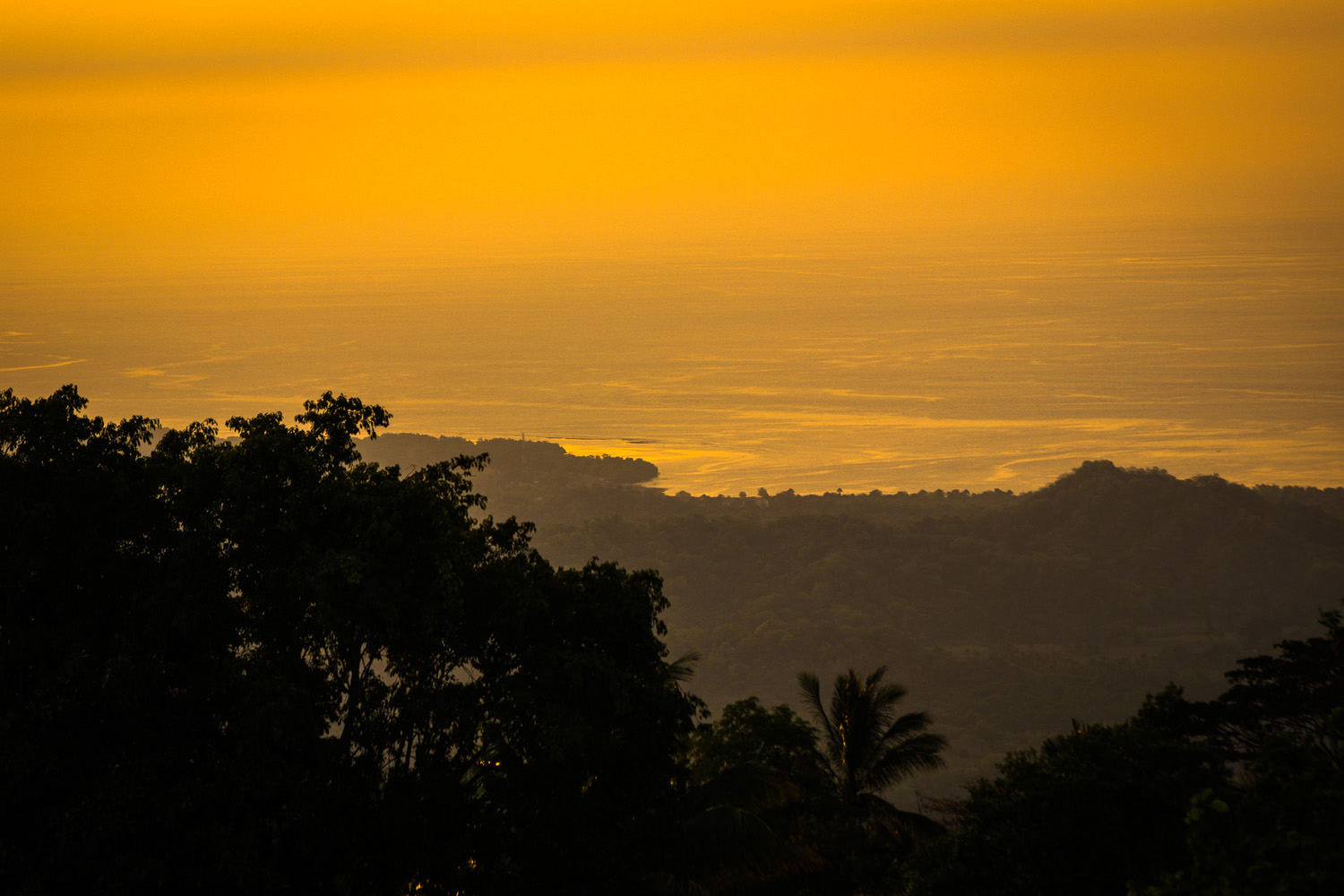 sunset golden sea.jpg