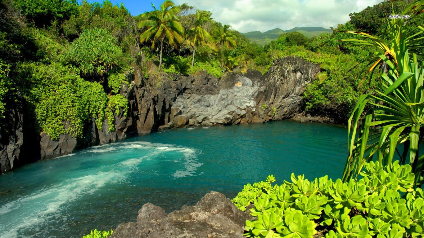 lagoon-in-maui-hawaii-nature-wallpaper-67868919.jpg