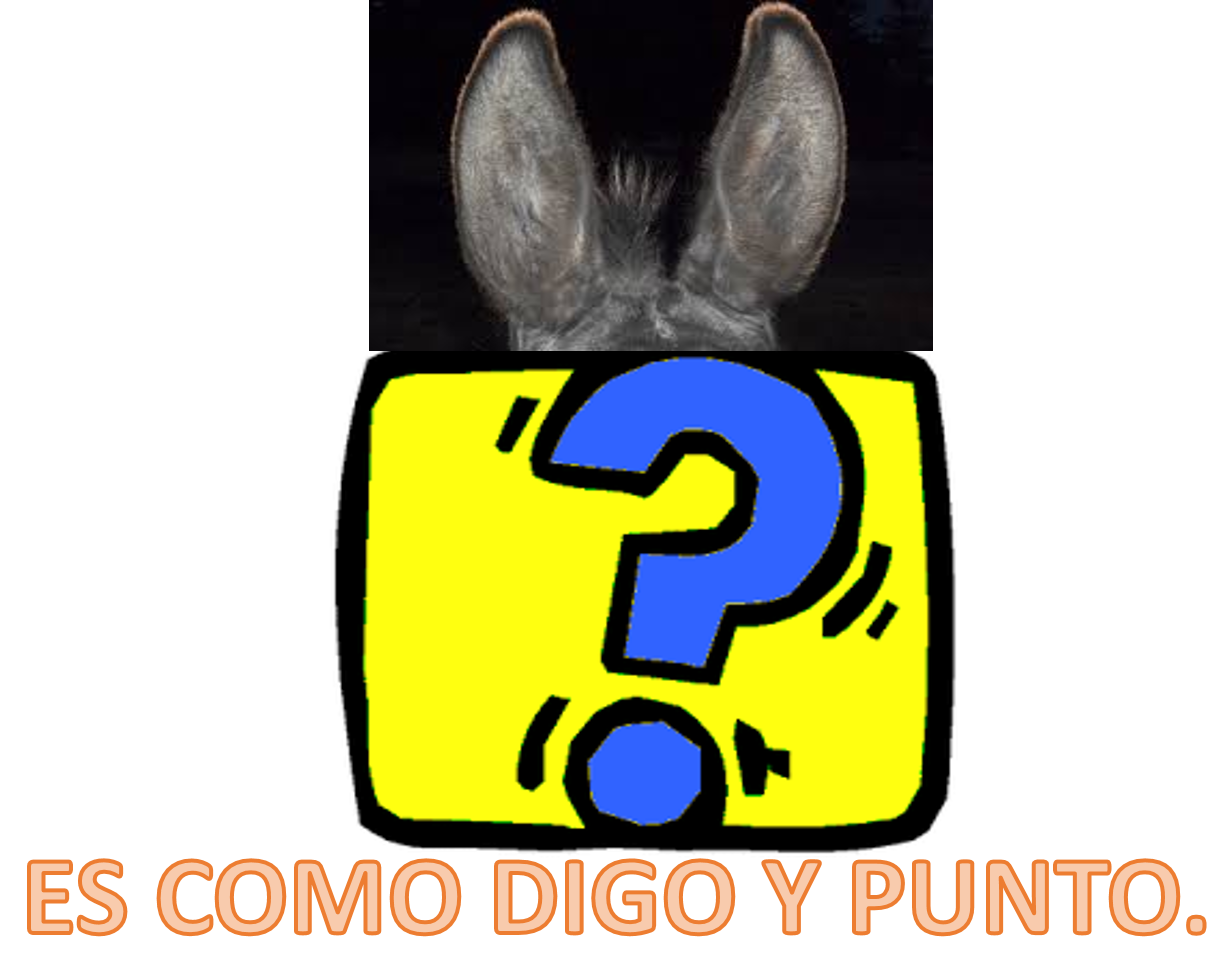 PUNTO.png