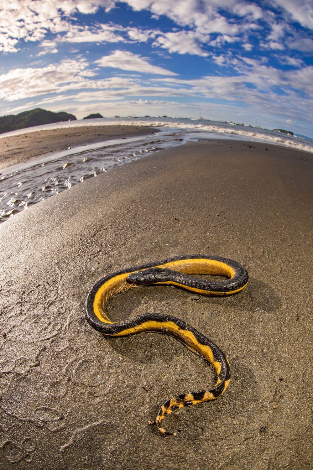 CostaRicaBerroneau-029.jpg