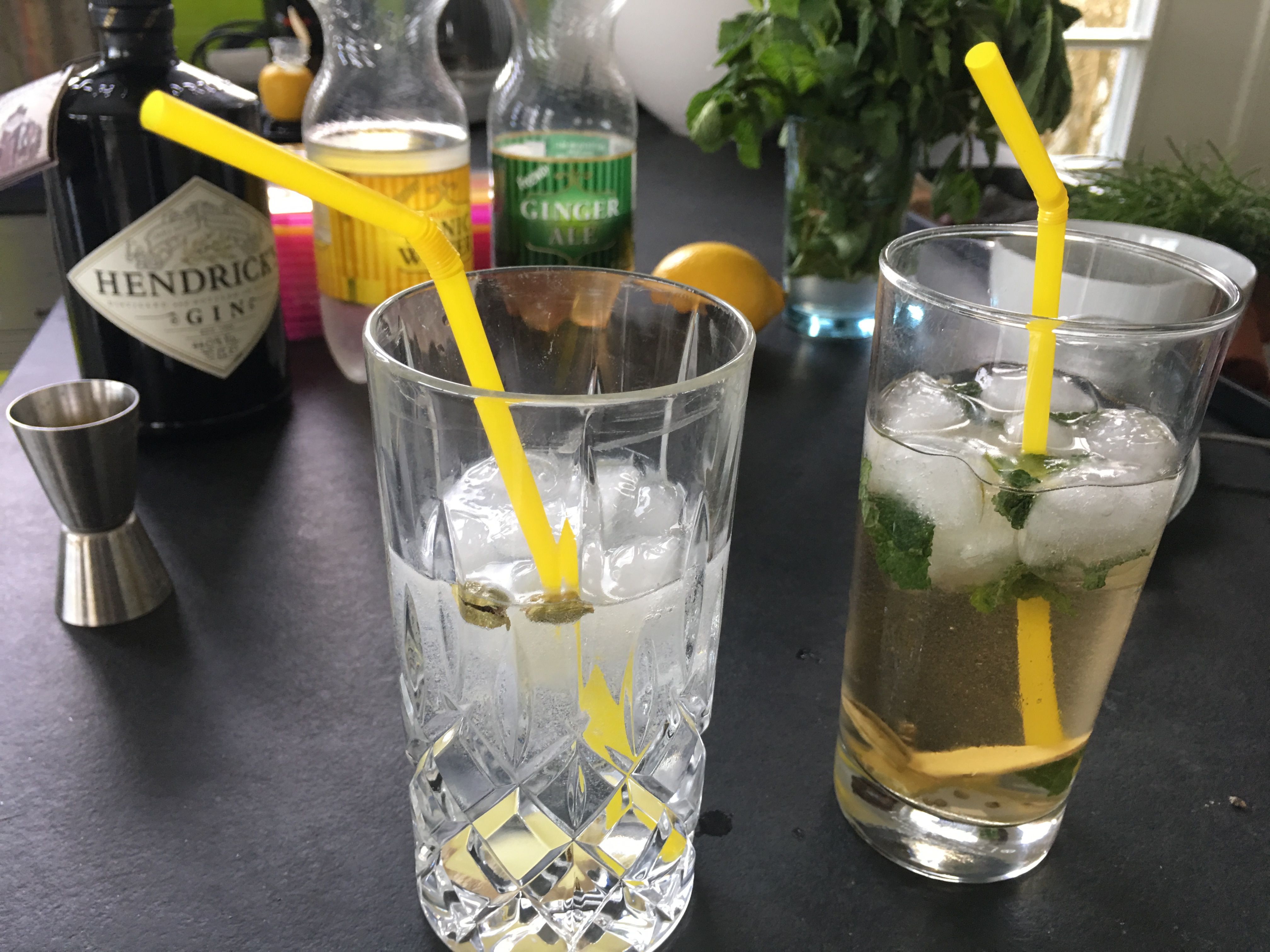 Gin Tonic on Steemit - A How To by Detlev (24).JPG