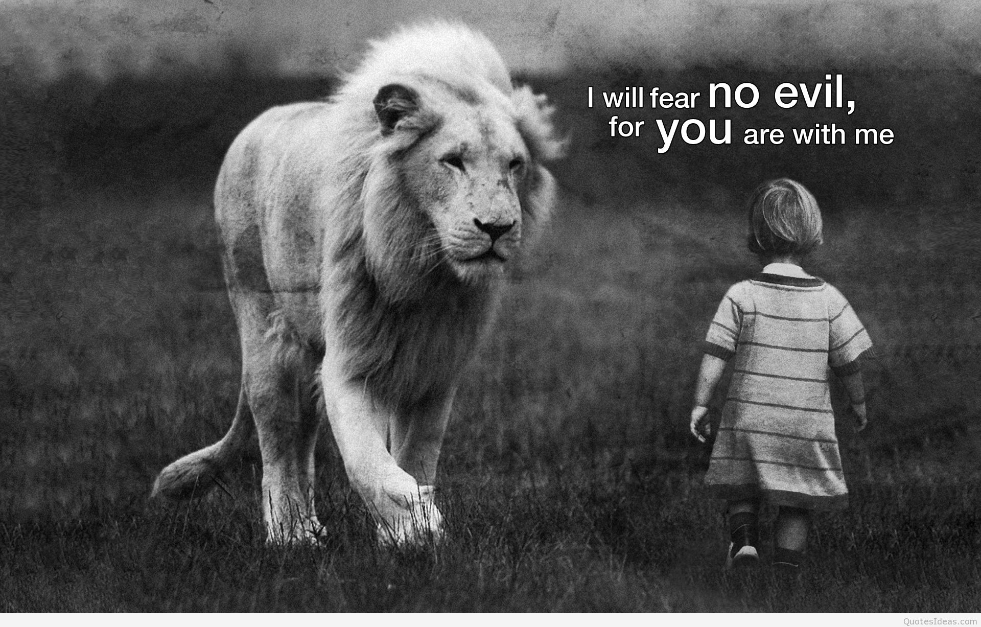 jesus do not fear