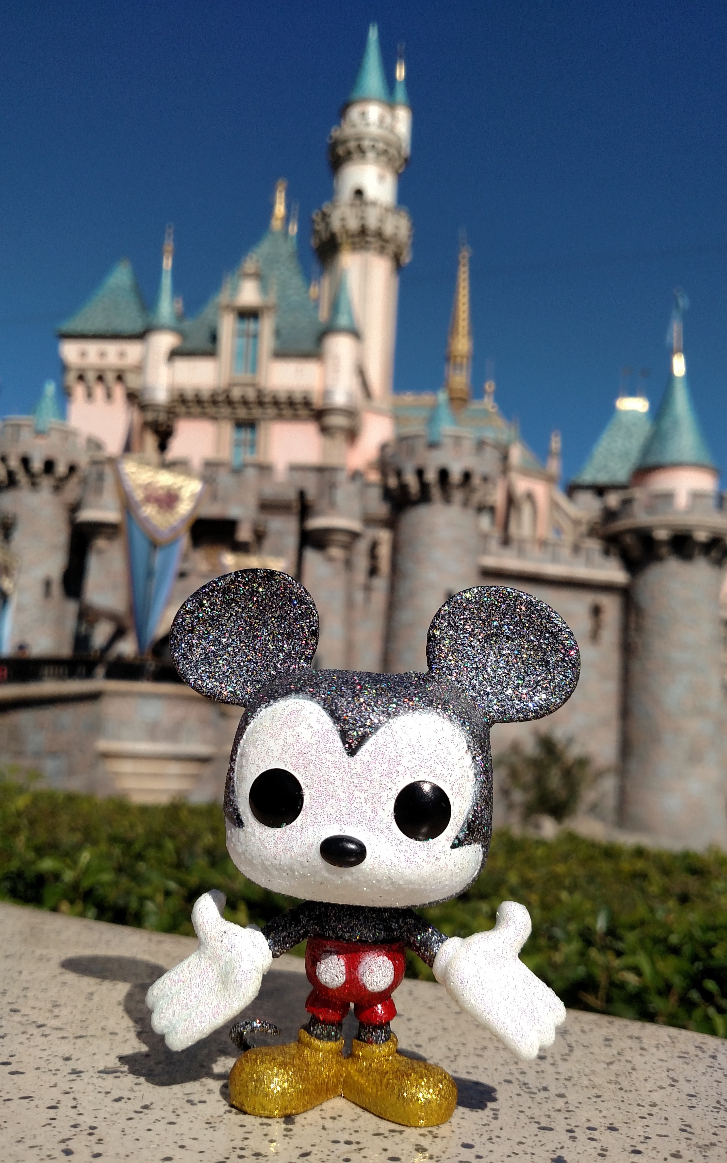 Disneyland castle mickey mouse funko pop.jpg