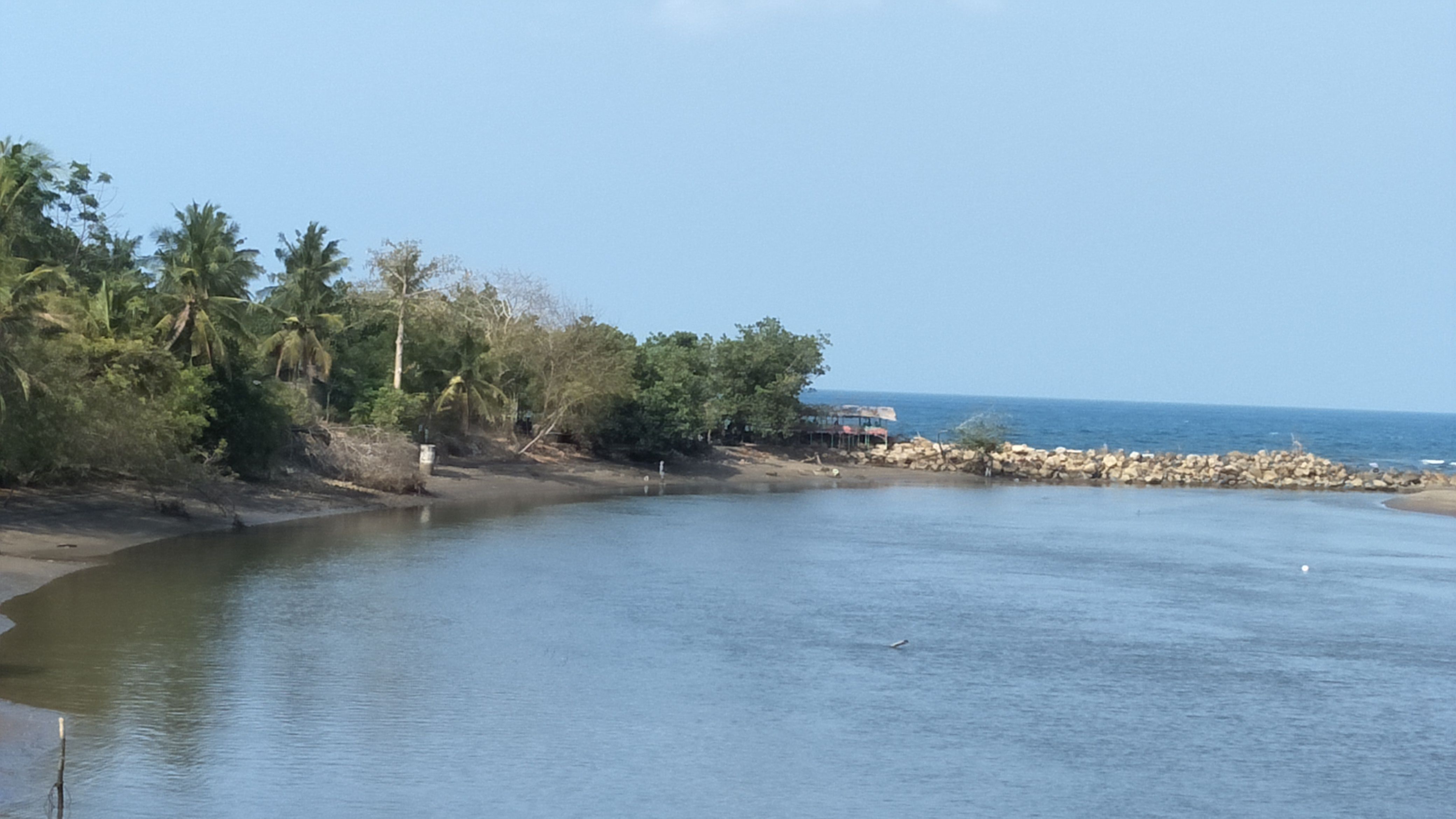 IMG20180217160854.jpg