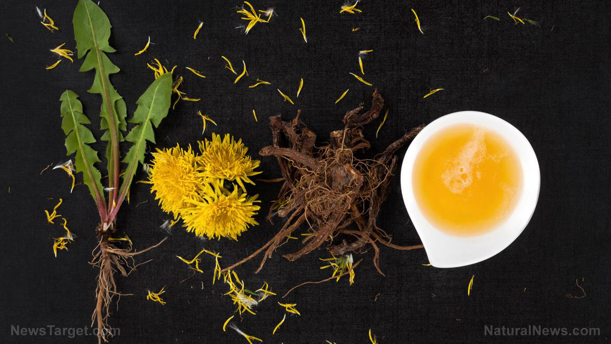 Dandelion-Alternative-Background-Beautiful-Black-Blossom-Closeup.jpg