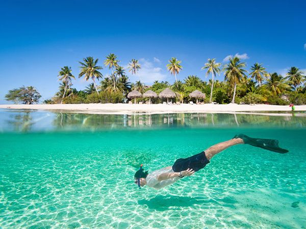 bora-bora-snorkeler-tropical-beach.jpg