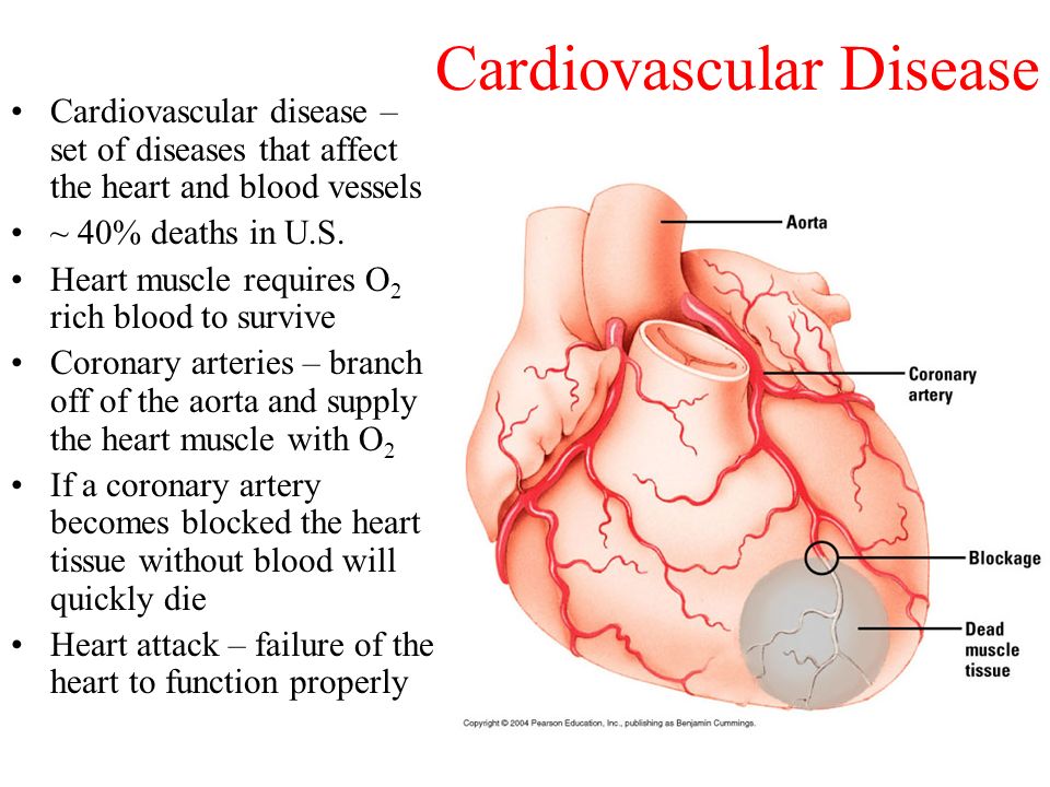 cardiovascular.jpg