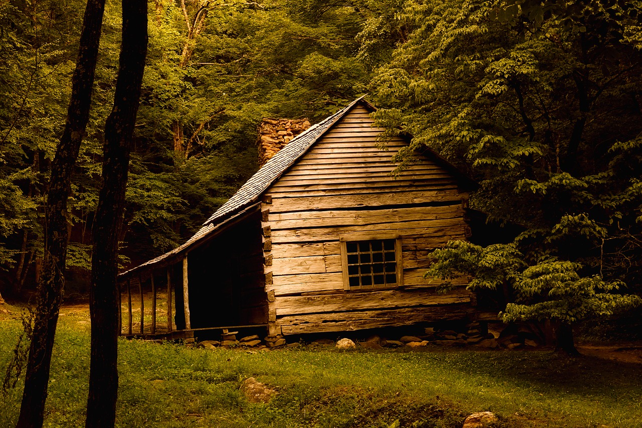 log-cabin-2650560_1280.jpg