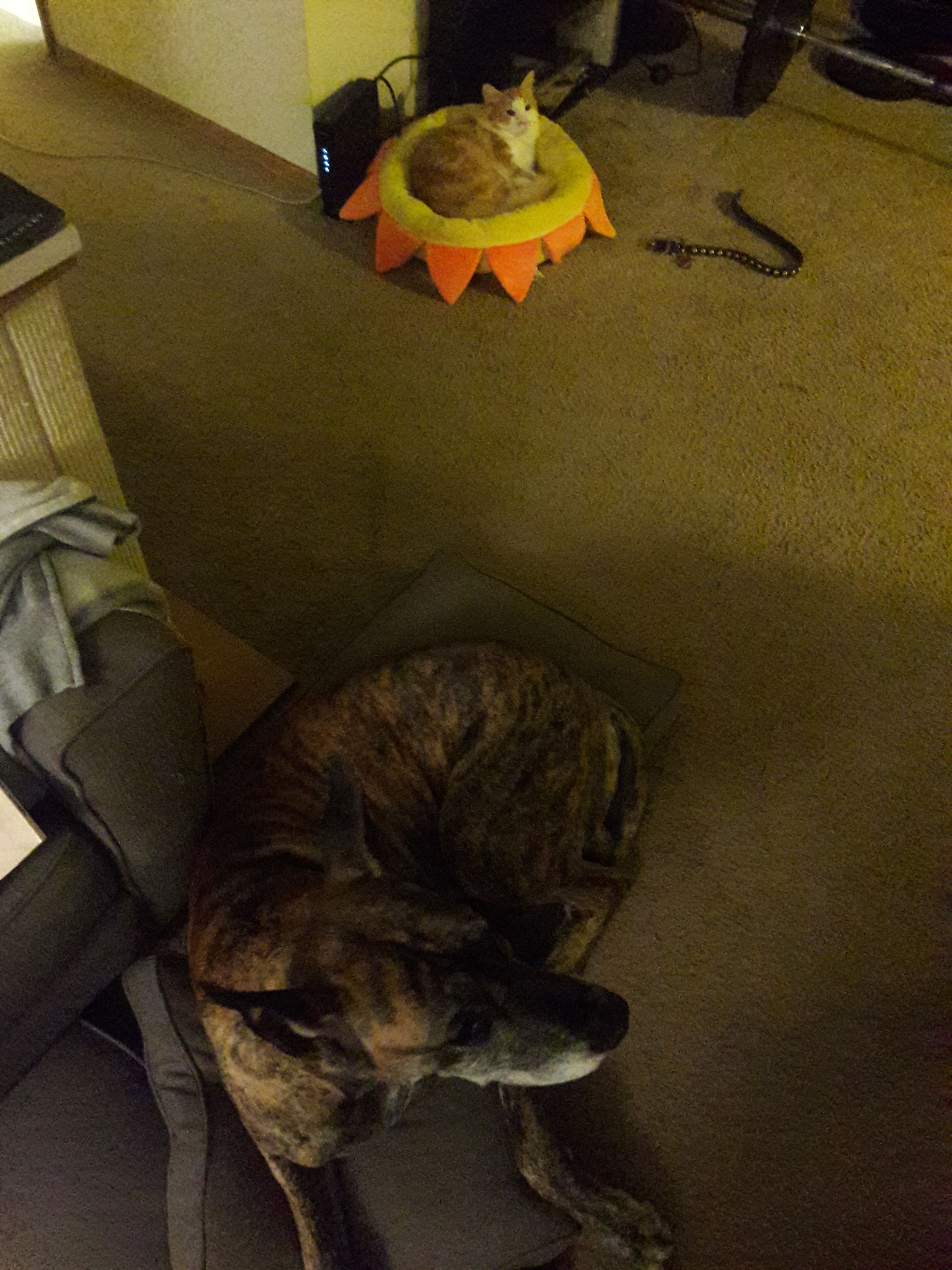 20180224_011819.jpg