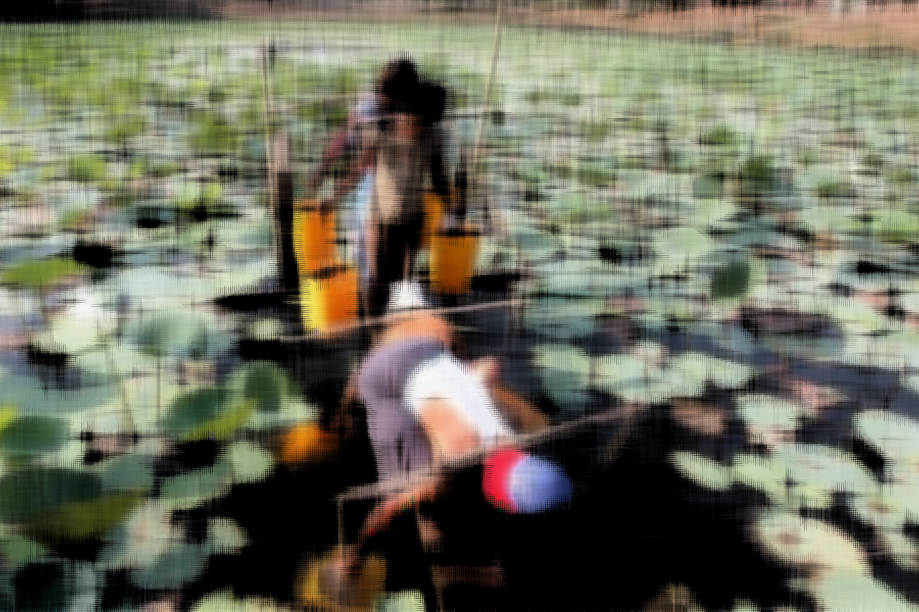 01.png