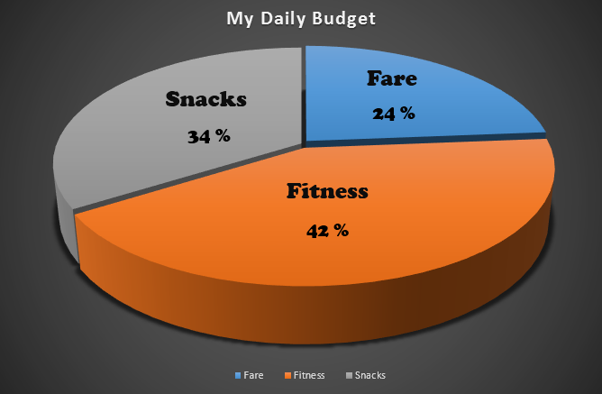 Daily Budget.PNG