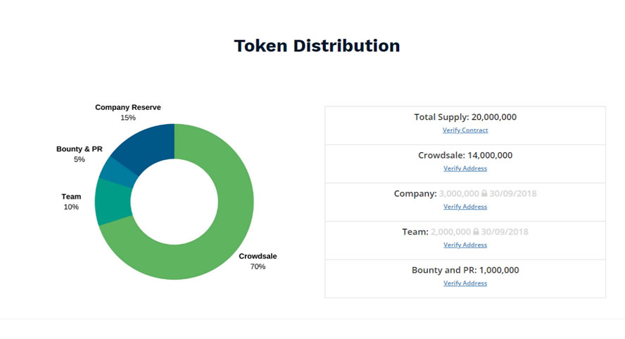 ZNC token distibution.jpg