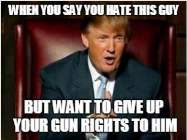 trumpgunrights.png