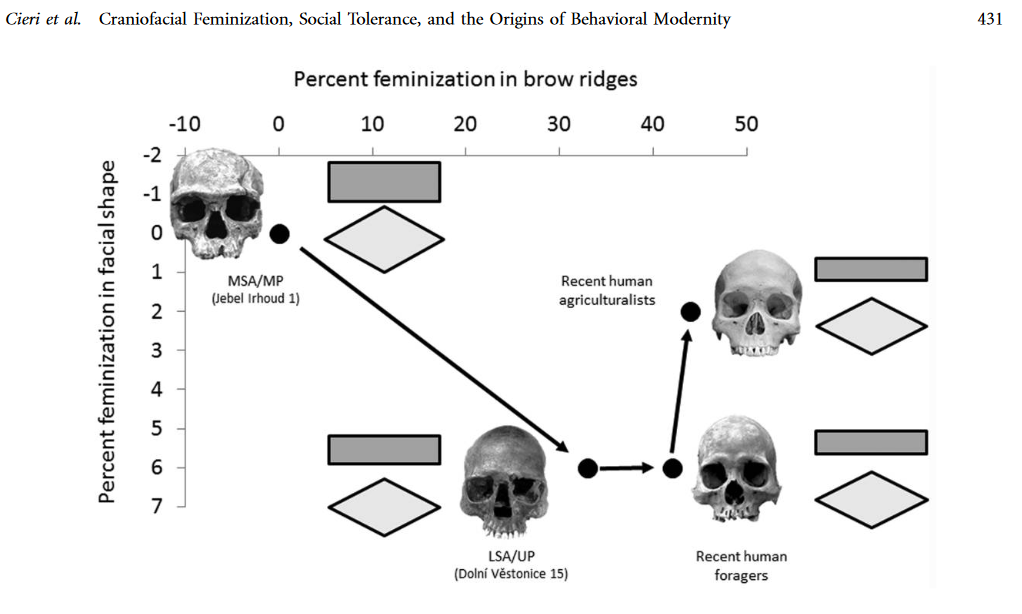 craniofacial_feminization.png