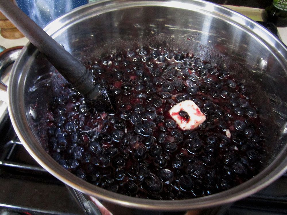 Blueberry jam 1g.jpg