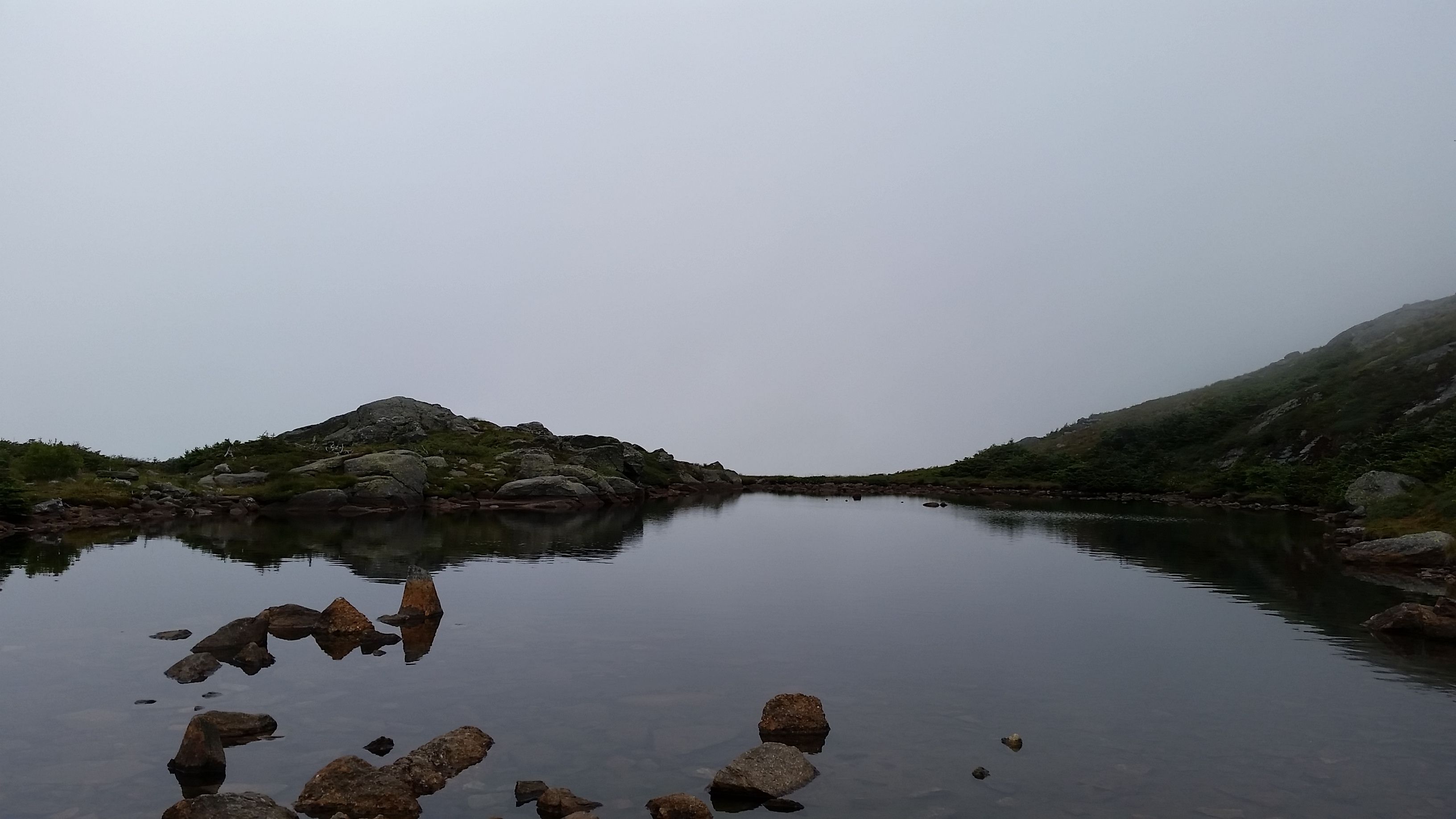 20170812_130206.jpg