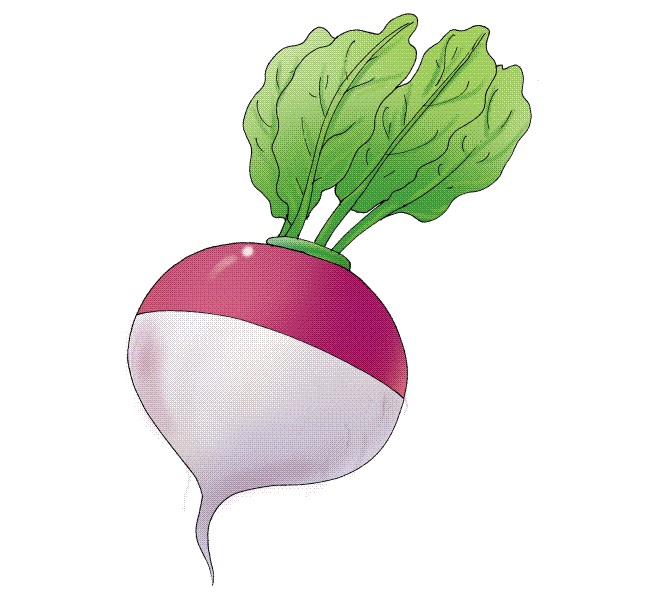 turnip-greens-3.jpg