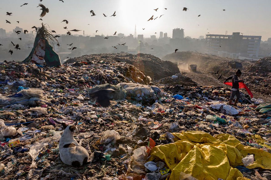 plastic-crisis-impact-on-wildlife-national-geographic-june-issue-cover-5-5afd854fbc278__880.jpg