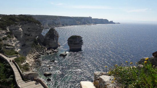 bonifacio