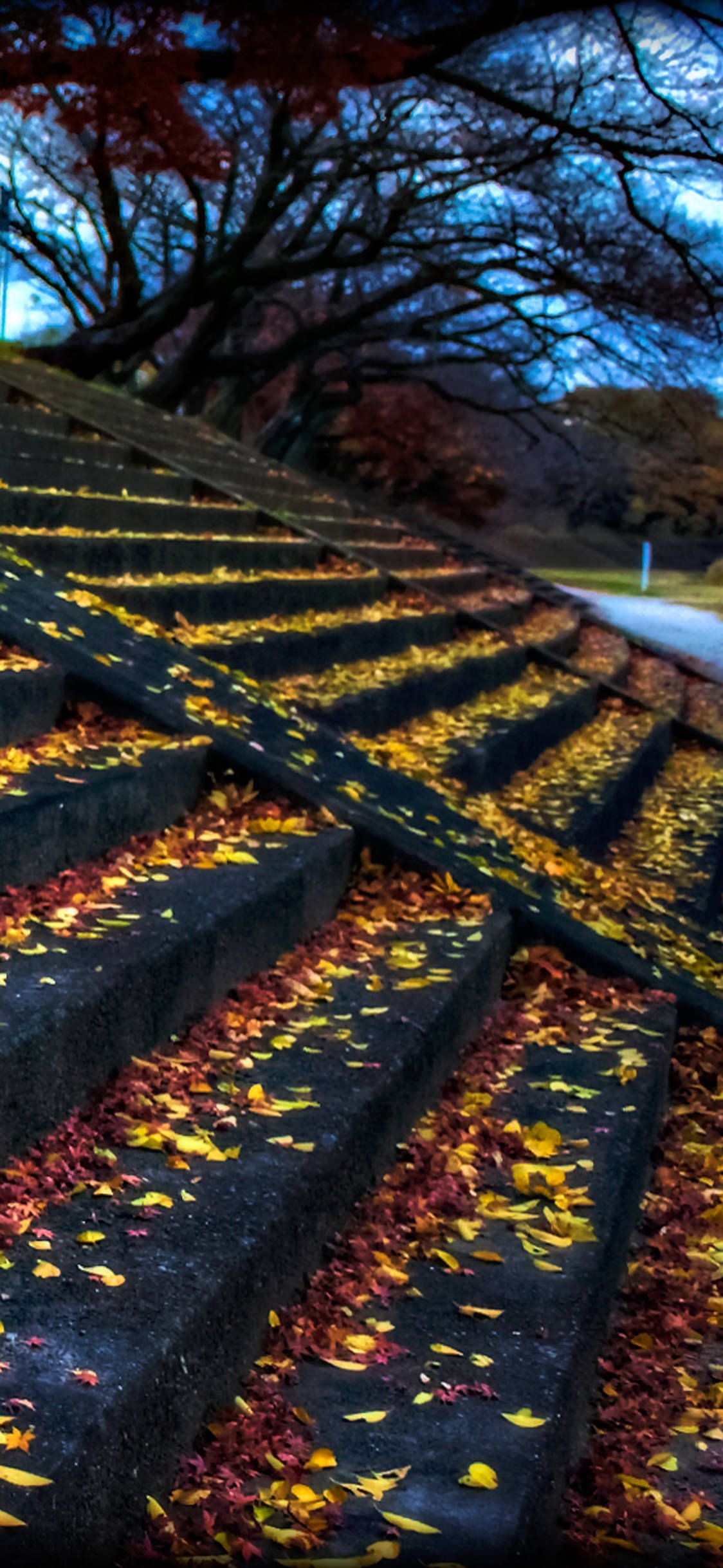 Leaves_Resting_on_Steps.jpg