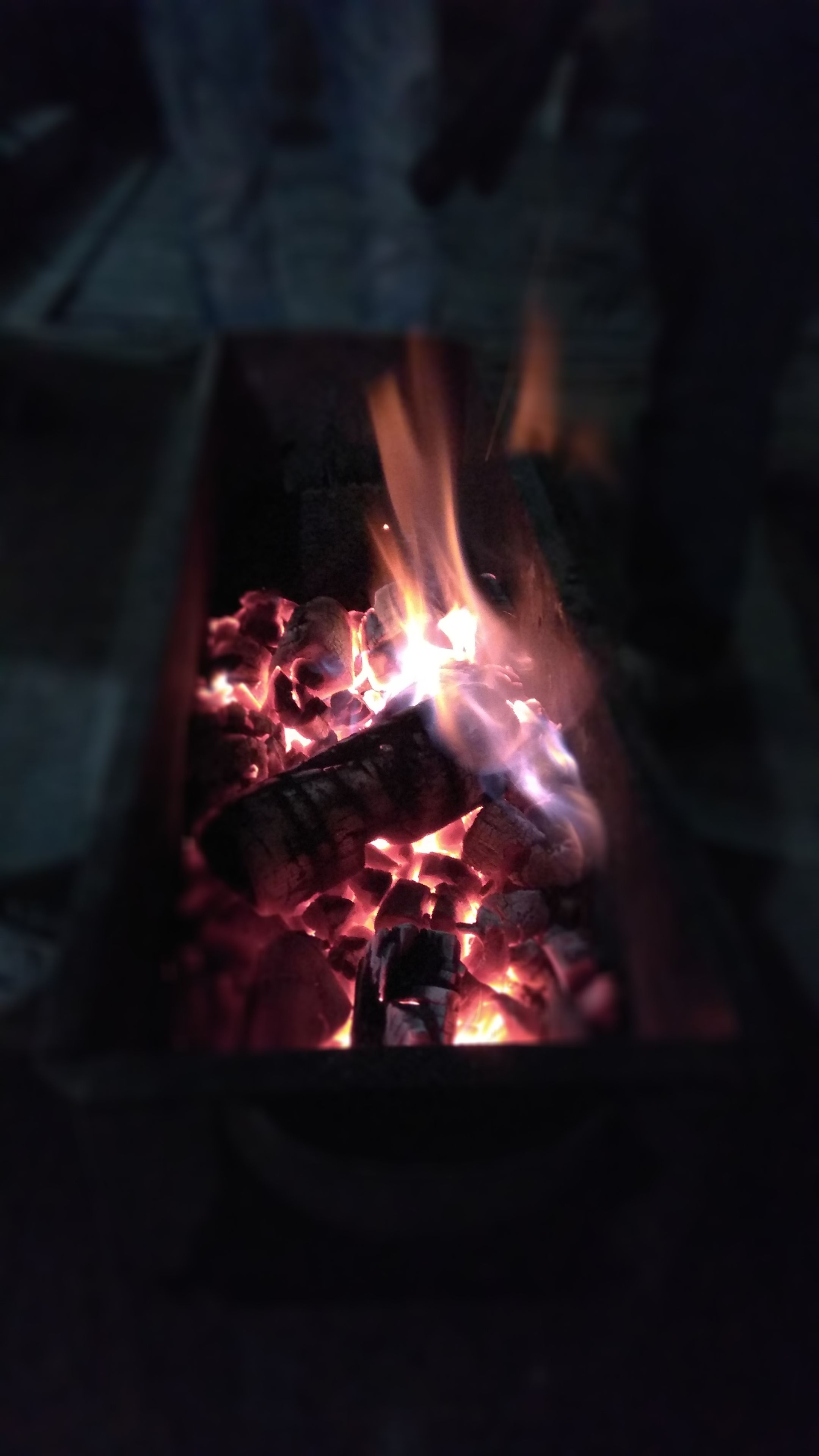 IMG_20180121_204425.jpg