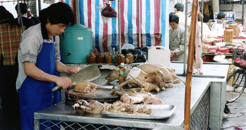 daniel shortell steem steemit yulin dogmeat festival.jpg