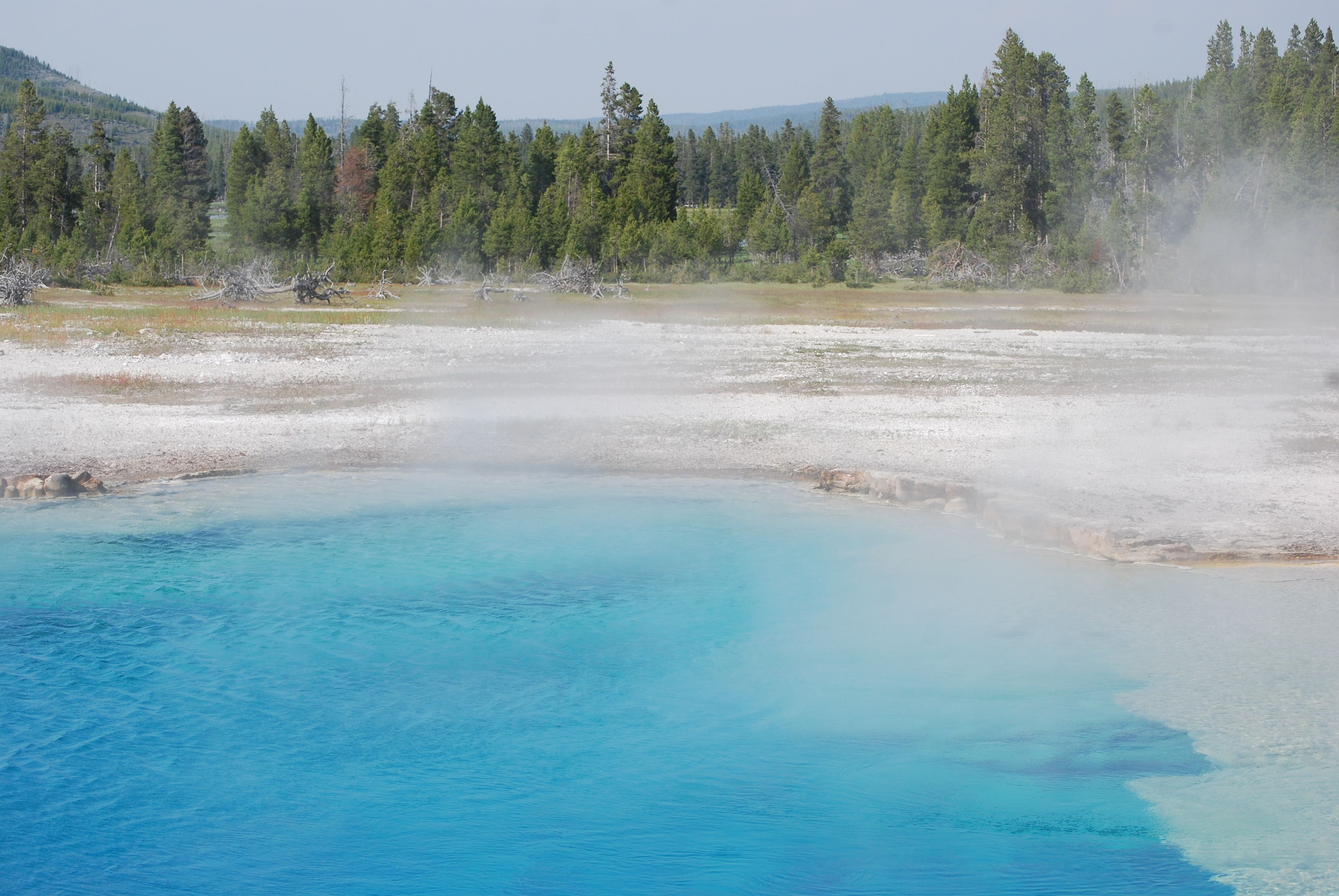 2008_Yellowstone_239.jpg