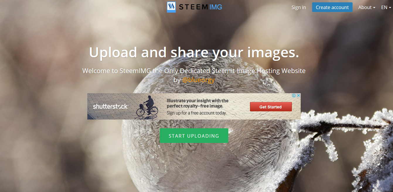 steem img.png