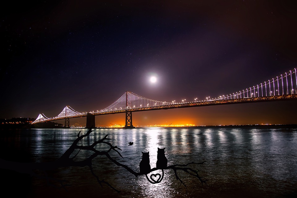 San Francisco Oakland Bay Bridge Water Reflections.jpg