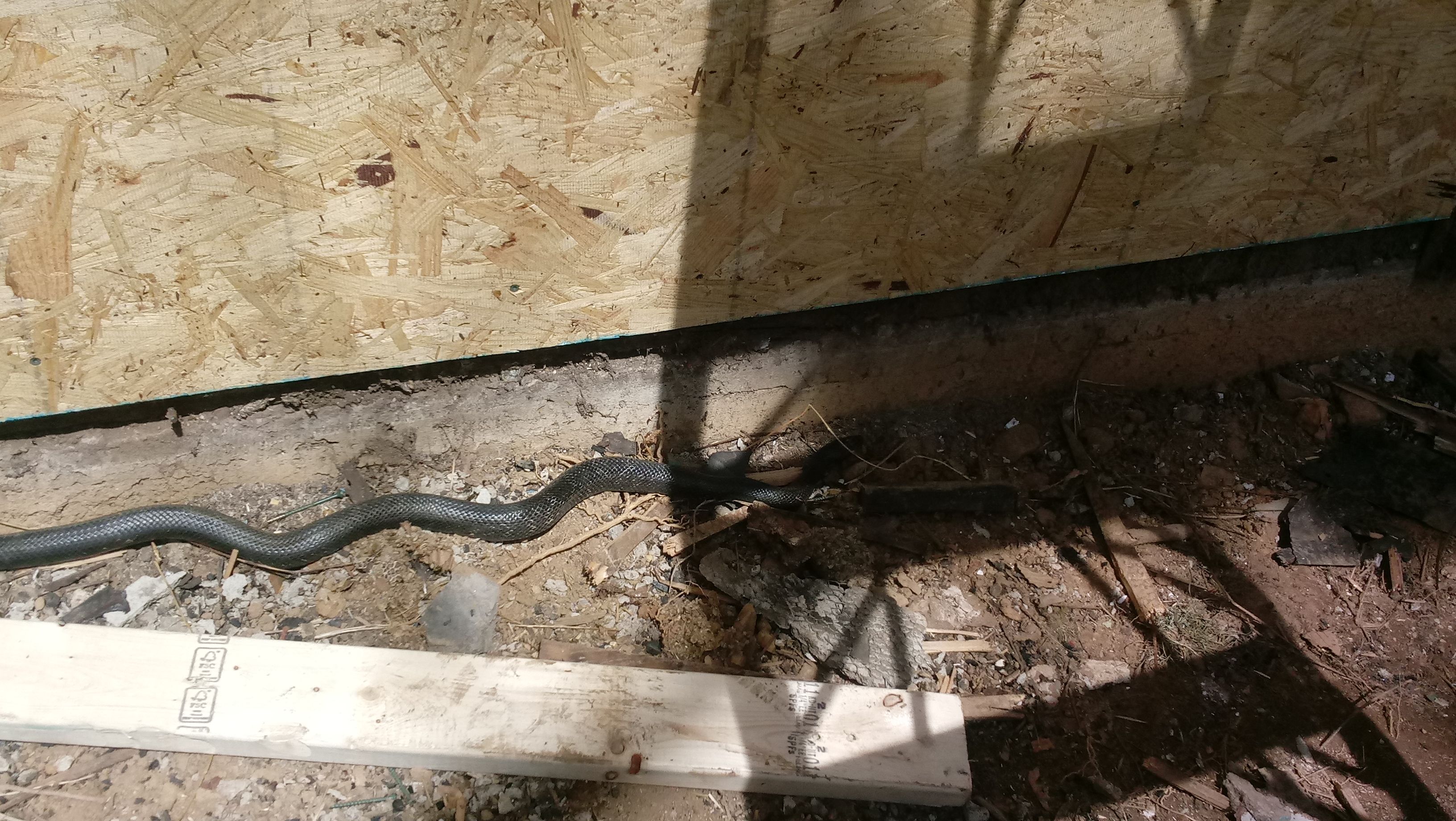 20180426_143915.jpg