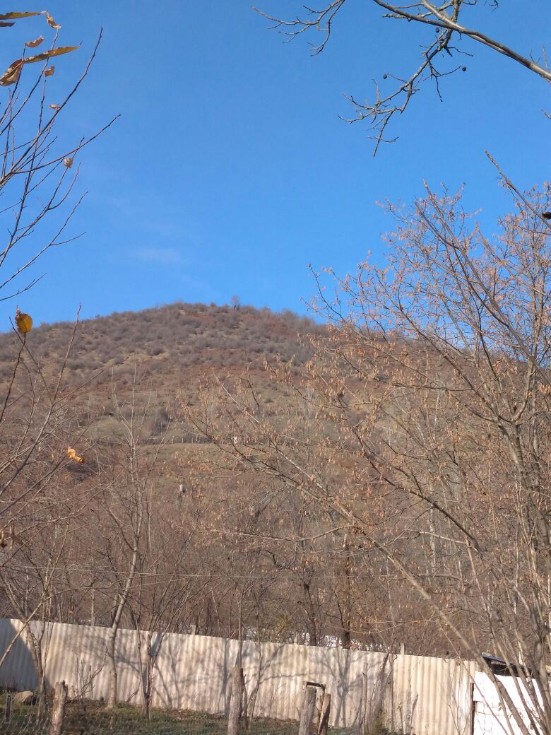 IMG-20180222-WA0008.jpg