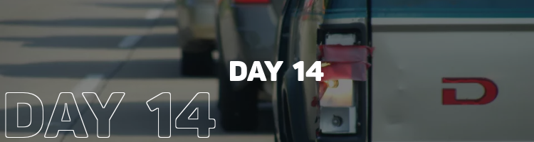 day-14.png