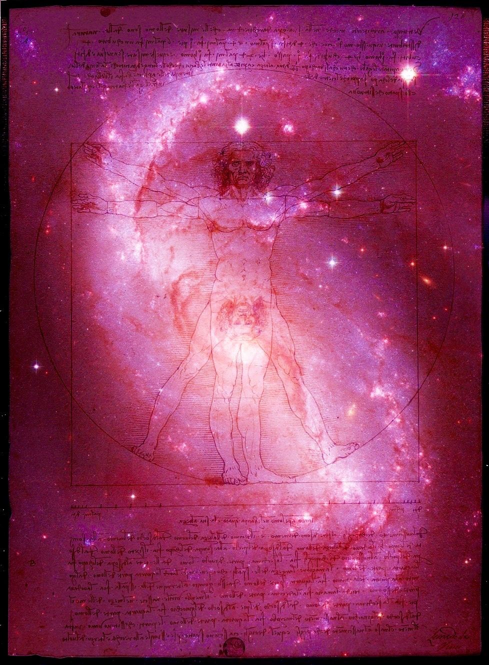 vitruvian-man-censored-pink-red-galaxy-blend.jpg